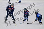 Eishockey, Herren, DEL, Saison 2024-2025, ERC Ingolstadt - Kids On Ice Day, 11.01.2025