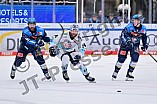 Eishockey, Herren, DEL, Saison 2025-2026, Spiel 44, ERC Ingolstadt - Dresdner Eislöwen, 27.01.2026