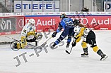 Eishockey, Frauen, DFEL, Saison 2023-2024, ERC Ingolstadt - Mad Dogs Mannheim, 18.02.2024