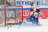 Eishockey, Frauen, DFEL, Saison 2024-2025, ERC Ingolstadt - EC Bergkamener Bären, 04.01.2025