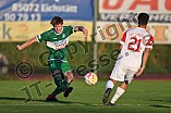 Fußball, Herren, Bayerischer Totopokal, Saison 2022-2023, Achtelfinale, VfB Eichstätt - TSV Rain-Lech, 06.09.2022