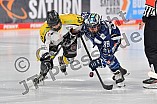 Eishockey, Frauen, DFEL, Saison 2021-2022, ERC Ingolstadt - Mad Dogs Mannheim, 24.10.2021