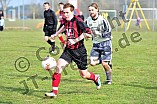 24.03.2013 - DJK Pollenfeld - DJK Stopfenheim