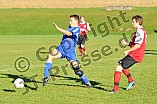 14.11.2010 - SV Ochsenfeld / SF Bieswang
