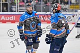 Eishockey, Herren, DEL, Saison 2023-2024, Spieltag 38, ERC Ingolstadt - Adler Mannheim, 14.01.2024