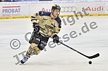 11.01.2015 - ERC Ingolstadt - Hamburg Freezers