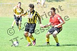 15.08.2012 - FC Hitzhofen-Oberzell / SpVgg Wolfsbuch-Zell