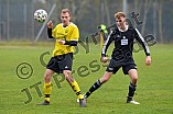 Fußball, Herren, Kreisliga West, Saison 2021-2022, Spieltag 16, DJK Pollenfeld - SV Cronheim, 14.11.2021