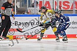 Eishockey, Frauen, DFEL, Saison 2021-2022, ERC Ingolstadt - Mad Dogs Mannheim, 24.10.2021