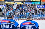 Eishockey, Herren, DEL, Saison 2025-2026, Spiel 47, ERC Ingolstadt - Nürnberg Ice Tigers, 01.03.2026
