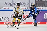 Eishockey, Frauen, DFEL, Saison 2023-2024, ERC Ingolstadt - Mad Dogs Mannheim, 18.02.2024