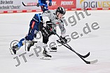 Eishockey, Herren, DEL, Saison 2024-2025, Spieltag 42, ERC Ingolstadt - Kölner Haie, 31.01.2025