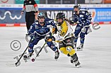 Eishockey, Frauen, DFEL, Saison 2021-2022, ERC Ingolstadt - Mad Dogs Mannheim, 23.10.2021