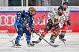 Eishockey, Frauen, DFEL, Saison 2024-2025, ERC Ingolstadt - EC Bergkamener Bären, 05.01.2025