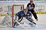 22.04.2015 - ERC Ingolstadt - Adler Mannheim