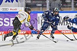 Eishockey, Frauen, DFEL, Saison 2021-2022, ERC Ingolstadt - Mad Dogs Mannheim, 24.10.2021