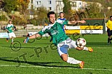 08.11.2014 - VfB Eichstätt - TSV 1883 Bogen