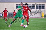 Fußball, Herren, Bayernliga Nord, Saison 2024-2025, Spieltag 9, VfB Eichstätt - TSV Kornburg, 30.08.2024