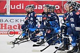 Eishockey, Herren, DEL, Saison 2024-2025, Spieltag 32, ERC Ingolstadt - Adler Mannheim, 30.12.2024