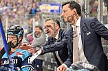 Eishockey, Herren, DEL, Saison 2022-2023, Spieltag 53, ERC Ingolstadt - Düsseldorfer EG, 17.02.2023