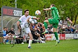 Fußball, Herren, Bayernliga Nord, Saison 2024-2025, Spieltag 31, VfB Eichstätt - TSV Neudrossenfeld, 26.04.2025