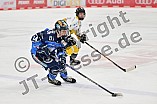 Eishockey, Frauen, DFEL, Saison 2023-2024, ERC Ingolstadt - Mad Dogs Mannheim, 18.02.2024