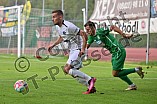 Fußball, Herren, Bayernliga Nord, Saison 2023-2024, Spieltag 9, VfB Eichstätt - TSV Neudrossenfeld, 01.09.2023