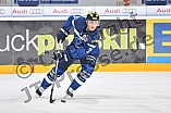 ERC Ingolstadt vs Adler Mannheim, Eishockey, DEL, Deutsche Eishockey Liga, Spieltag 46, 10.02.2017
