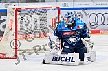 Eishockey, Herren, DEL, Saison 2025-2026, Spiel 43, ERC Ingolstadt - Schwenninger Wild Wings, 25.01.2026