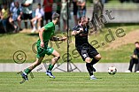 Fußball, Herren, Landesliga Südwest, Saison 2025-2026, Vorbereitung, TSV 1861 Nördlingen - SV Manching, 22.06.2025