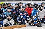 Eishockey, Herren, DEL, Saison 2024-2025, ERC Ingolstadt - Kids On Ice Day, 11.01.2025