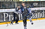 ERC Ingolstadt vs Duesseldorfer EG, Eishockey, DEL, Deutsche Eishockey Liga, Spieltag 50, 21.02.2017