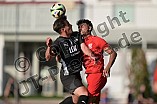 Fußball, Herren, Bayernliga Süd, Saison 2024-2025, Spieltag 3, TSV Rain-Lech - FC Memmingen, 30.07.2024