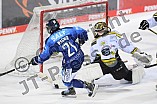 Eishockey, Frauen, DFEL, Saison 2020-2021, ERC Ingolstadt - Mad Dogs Mannheim, 30.01.2021