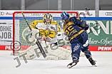 Eishockey, Frauen, DFEL, Saison 2022-2023, ERC Ingolstadt - Mad Dogs Mannheim, 19.11.2022