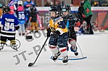 Eishockey, Saison 2025-2026, ERC Ingolstadt - Kids On Ice Day, 10.01.2026