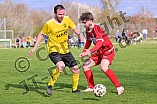 Fußball, Herren, Kreisliga West, Saison 2021-2022, Spieltag 18, DJK Pollenfeld - TSV 1860 Weißenburg U 23 II, 18.04.2022