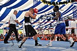 04.09.2016 - Internationaler Boxvergleichskampf
