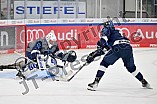 Eishockey, Herren, DEL, Saison 2024-2025, ERC Ingolstadt - Showtraining für Dauerkartenbesitzer, 04.08.2024