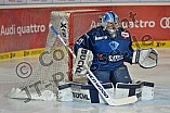 ERC Ingolstadt vs Augsburger Panther, Eishockey, DEL, Deutsche Eishockey Liga, 03.01.2016