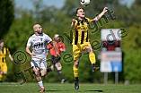 Fußball, Herren, Bezirksliga Oberbayern Nord, Saison 2024-2025, Spieltag 3, TSV Gaimersheim - SE Freising, 11.08.2024