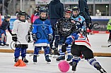Eishockey, Herren, DEL, Saison 2022-2023, ERC Ingolstadt - Kids On Ice Day, 19.11.2022