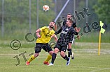 Fußball, Herren, Kreisliga West, Saison 2021-2022, Spieltag 26, DJK Pollenfeld - SV Rednitzhembach, 29.05.2022