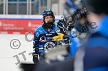 Eishockey, Frauen, DFEL, Saison 2025-2026, Testspiel, ERC Ingolstadt - HC Davos, 14.02.2026