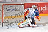 ERC Ingolstadt vs Thomas Sabo Ice Tigers, Eishockey, DEL, Deutsche Eishockey Liga, Spieltag 34, 03.01.2017