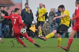 Fußball, Herren, Kreisliga West, Saison 2022-2023, Spieltag 13, DJK Pollenfeld - DJK Limes 09, 06.11.2022