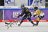 Eishockey, Frauen, DFEL, Saison 2022-2023, ERC Ingolstadt - Mad Dogs Mannheim, 19.11.2022