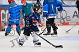 Eishockey, Saison 2025-2026, ERC Ingolstadt - Kids On Ice Day, 10.01.2026