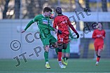 Fußball, Herren, Bayernliga Nord, Saison 2023-2024, Vorbereitung, VfB Eichstätt - ASV Neumarkt, 20.01.2024