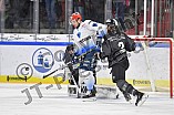 Thomas Sabo Ice Tigers vs ERC Ingolstadt, DEL, Deutsche Eishockey Liga, Spieltag 35, 05.01.2020
